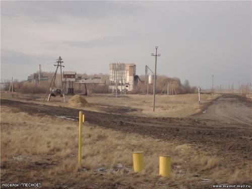Добро пожаловать в Лесное